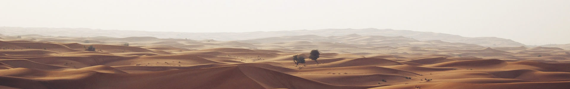 ŵάƼ޹˾